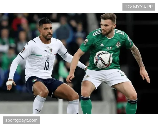 斯洛伐克国家球队在欧预赛中持续提升，展现出惊人实力与竞争力。